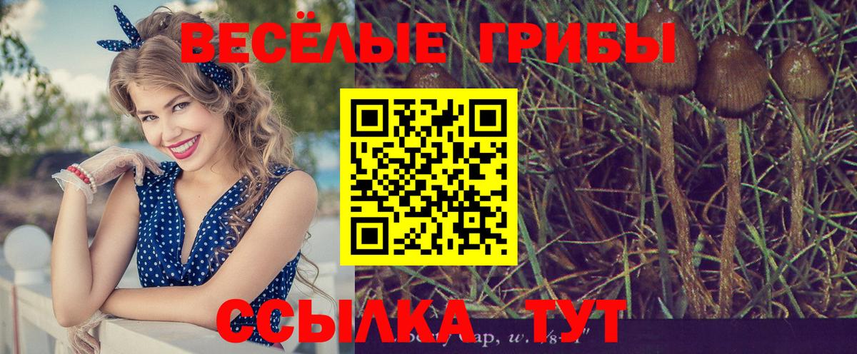 Псилоцибиновые грибы ЛСД  Вход с VPN  Псилоцибиновые грибы прущие грибы  Рассказово 