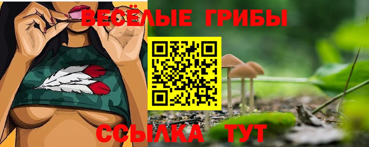 Галлюциногенные грибы прущие грибы Рассказово